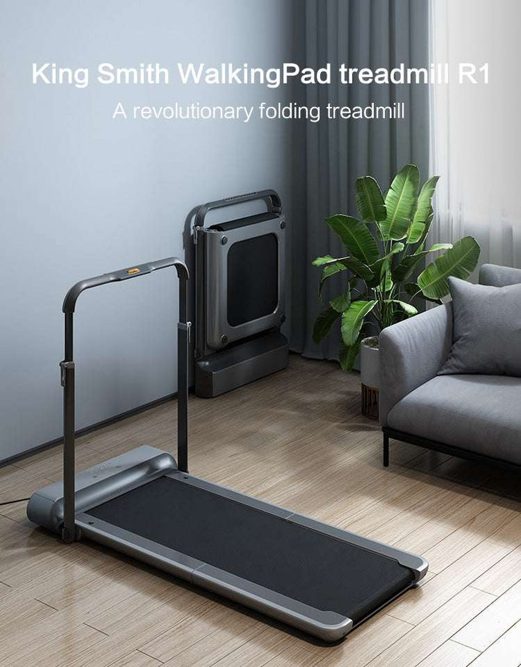 Kingsmith walking pad