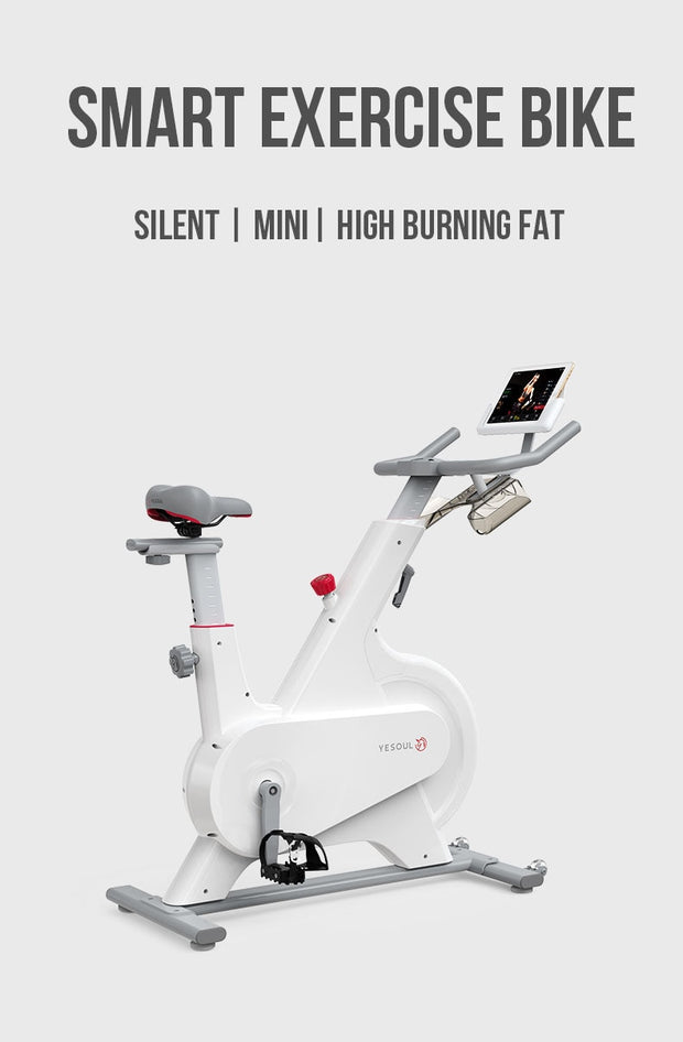 YESOUL M1 Ultra Quiet Smart Indoor Exercise Bike