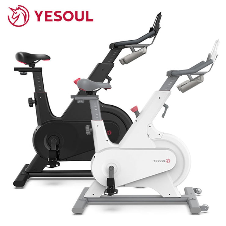 YESOUL M1 Magnetic Resistance Exercise Bike