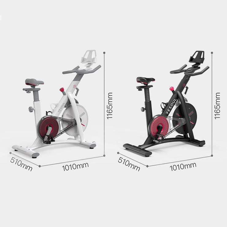 Ultra Quiet home Exercise Smart Bike